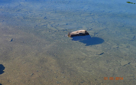 plongee lac ltc2014 40